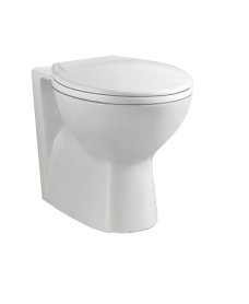 Strata Back to Wall Toilet and Seat