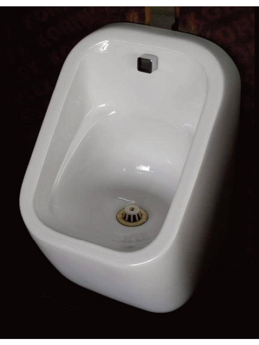 S600 Urinal Bowl - Concealed Trap