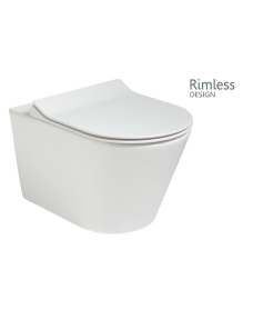 Reflections Back to Wall RIMLESS Toilet and Slim Soft Close Seat