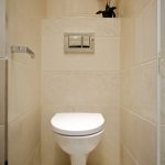 Choosing a toilet: our tips